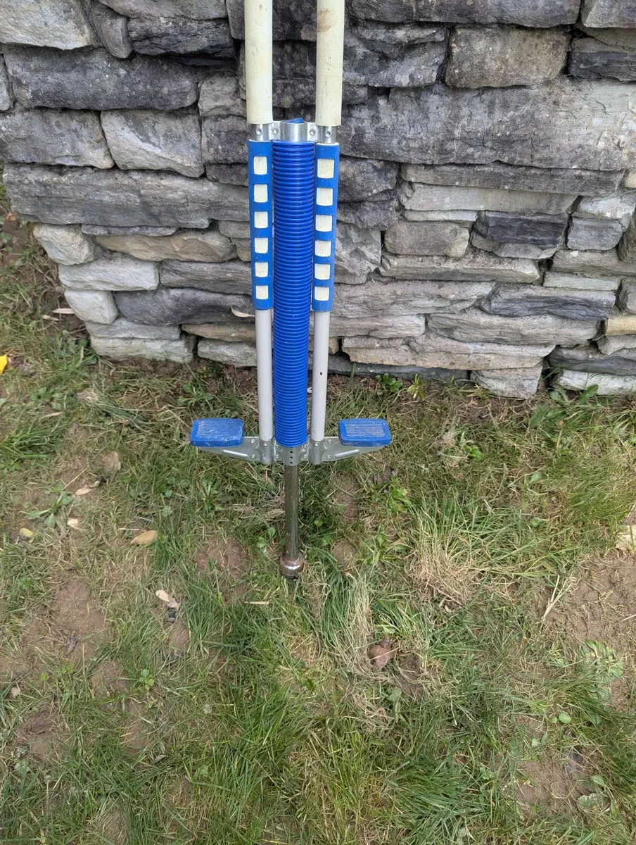 Flybar Foam Master Pogo Stick - Excellent Conditio - Image 2