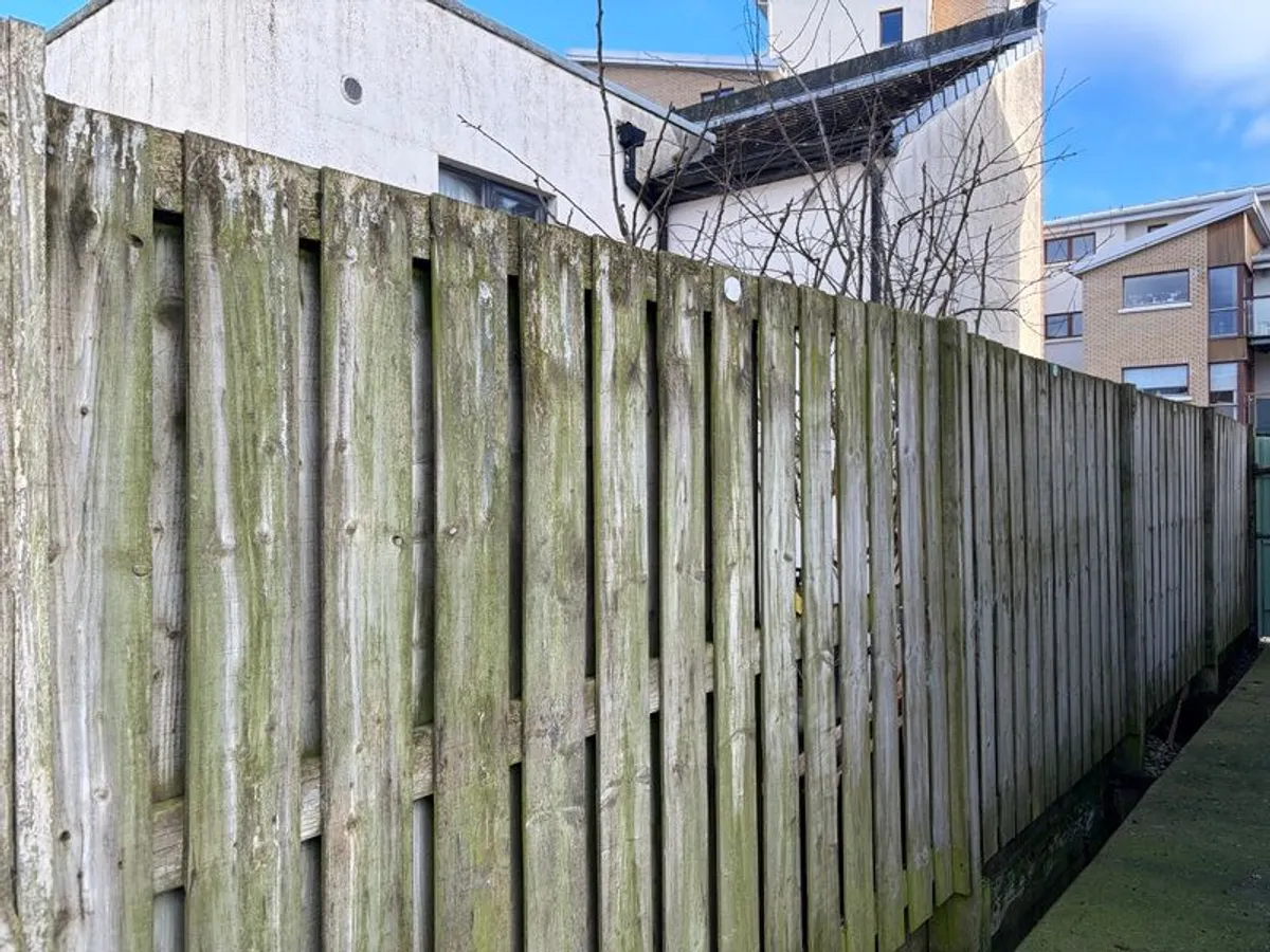 Pressure treated wooden fence panels - Image 2