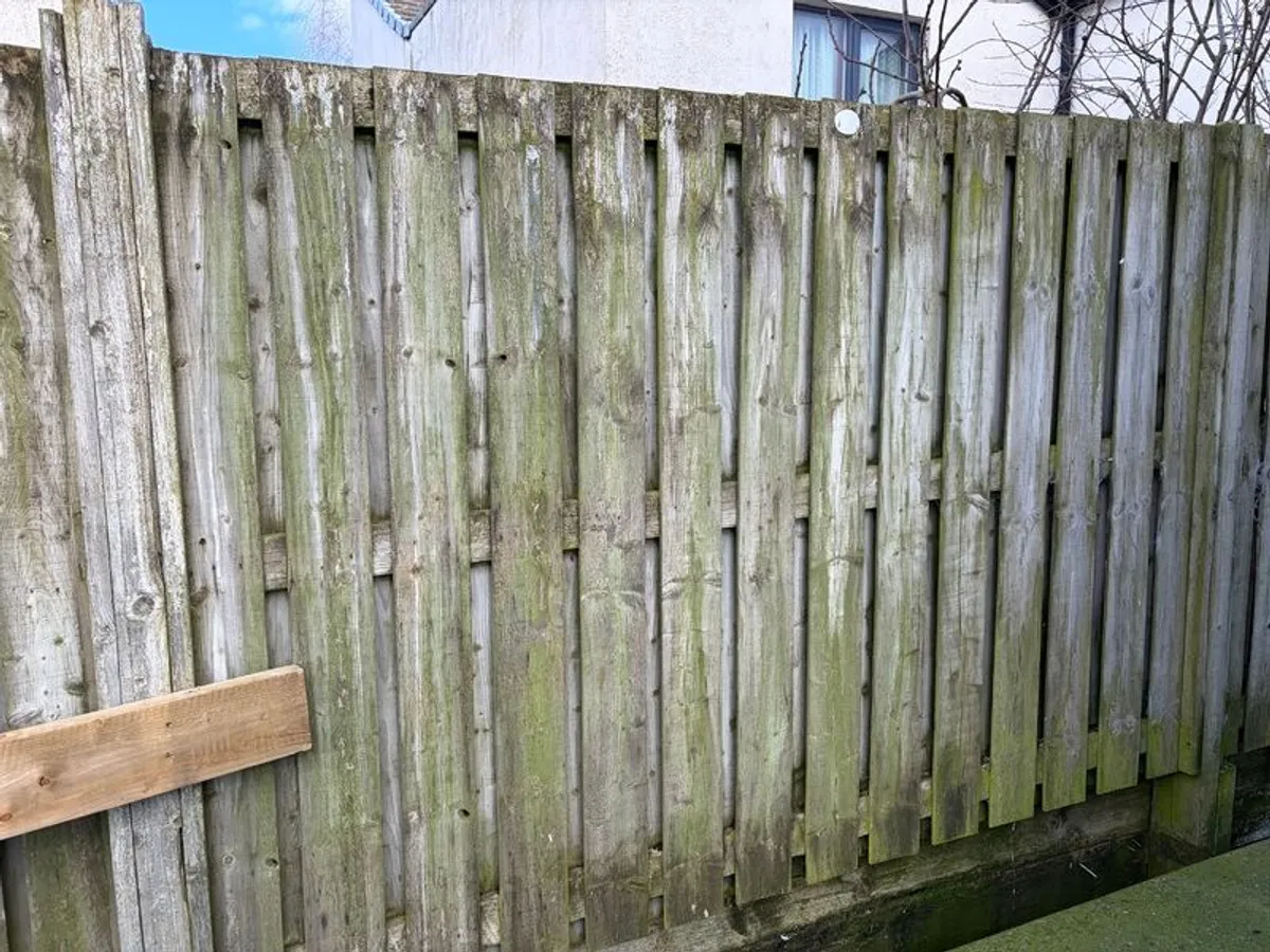 Pressure treated wooden fence panels - Image 3