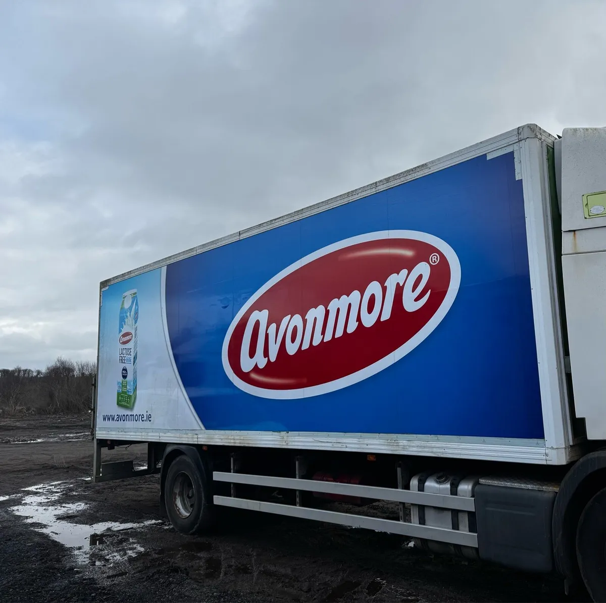 25ft insulated container - Image 1