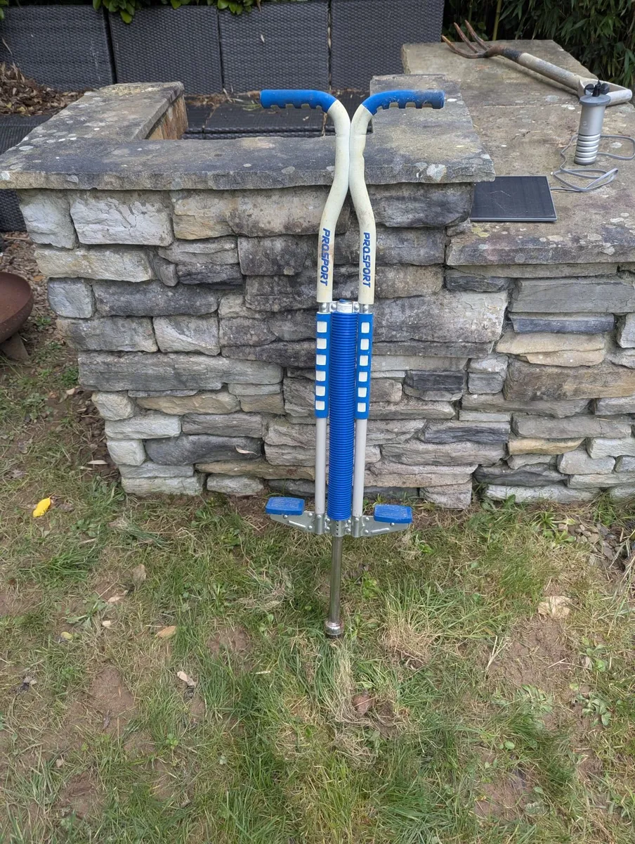 Flybar Foam Master Pogo Stick - Excellent Conditio - Image 1