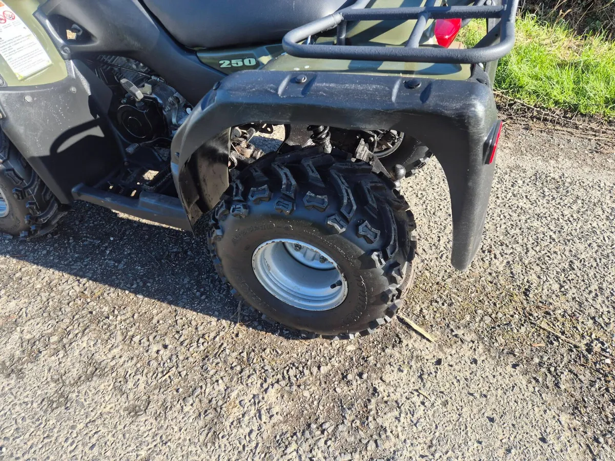 SUZUKI OZARK 250 (CHOICE ) - Image 4