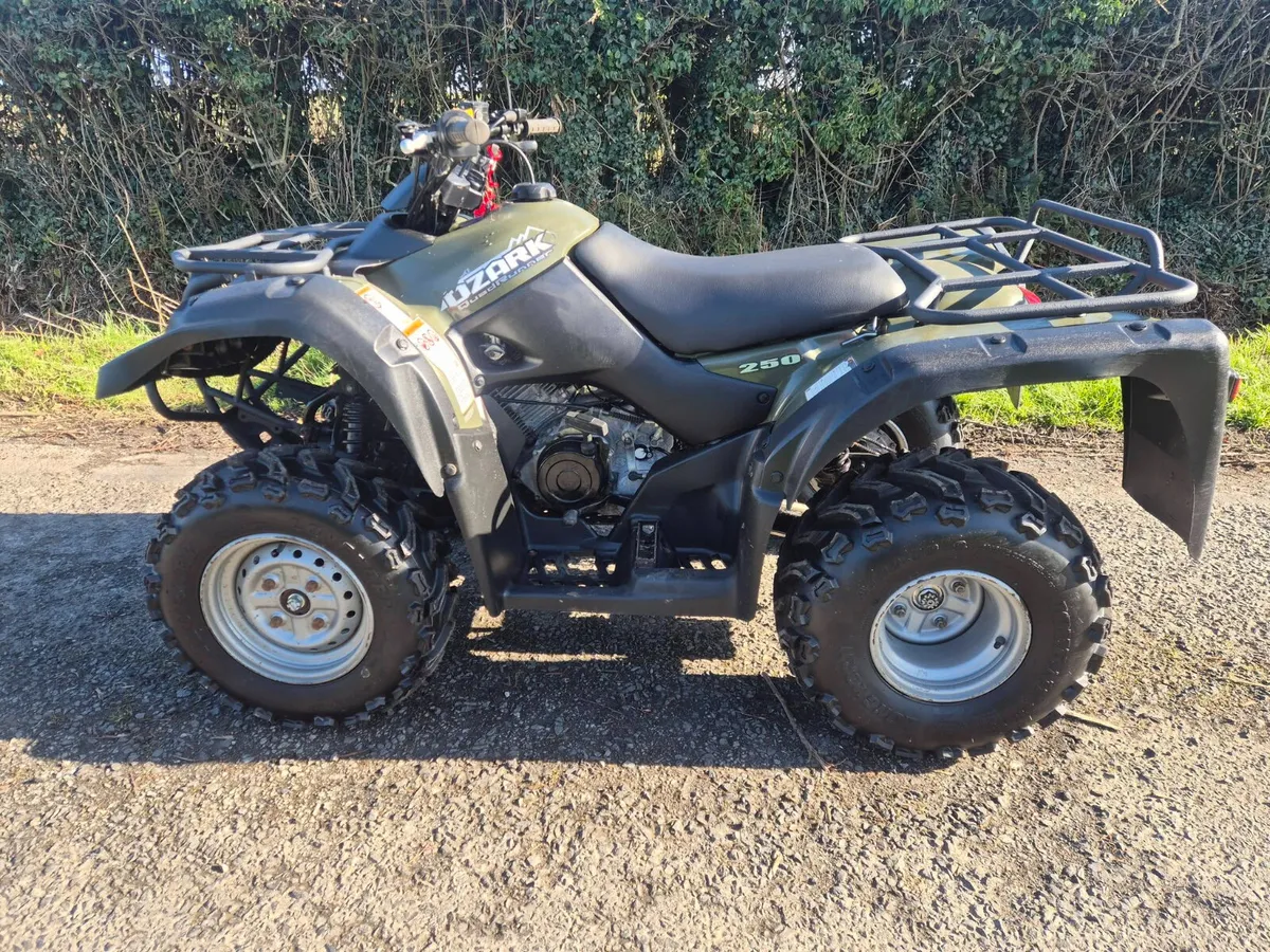 SUZUKI OZARK 250 (CHOICE ) - Image 1