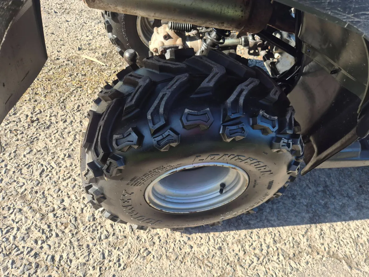 SUZUKI OZARK 250 (CHOICE ) - Image 2