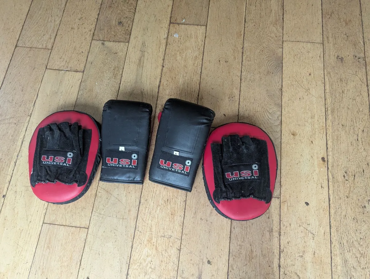 Lonsdale Boxing Set - Gloves & Focus Pads - Image 2