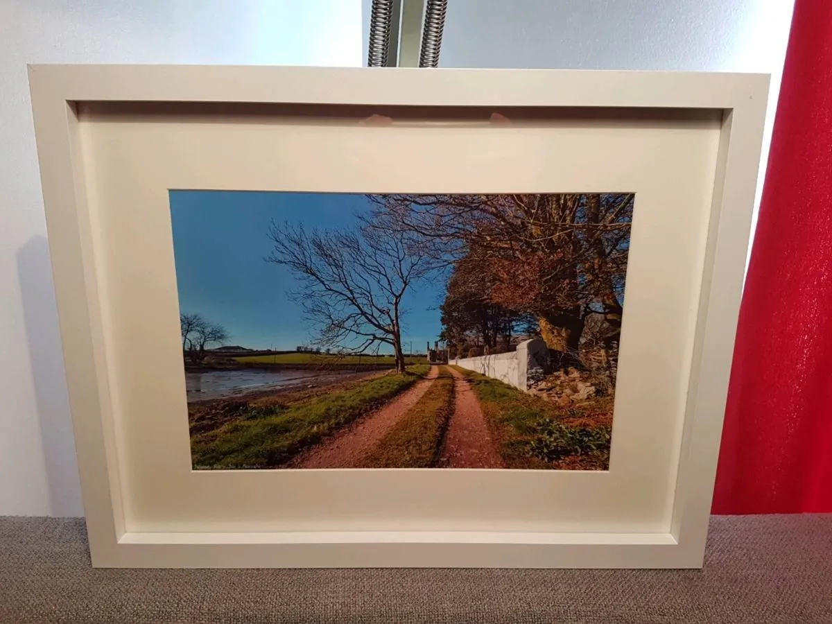 Ballyannan Castle - Image 4