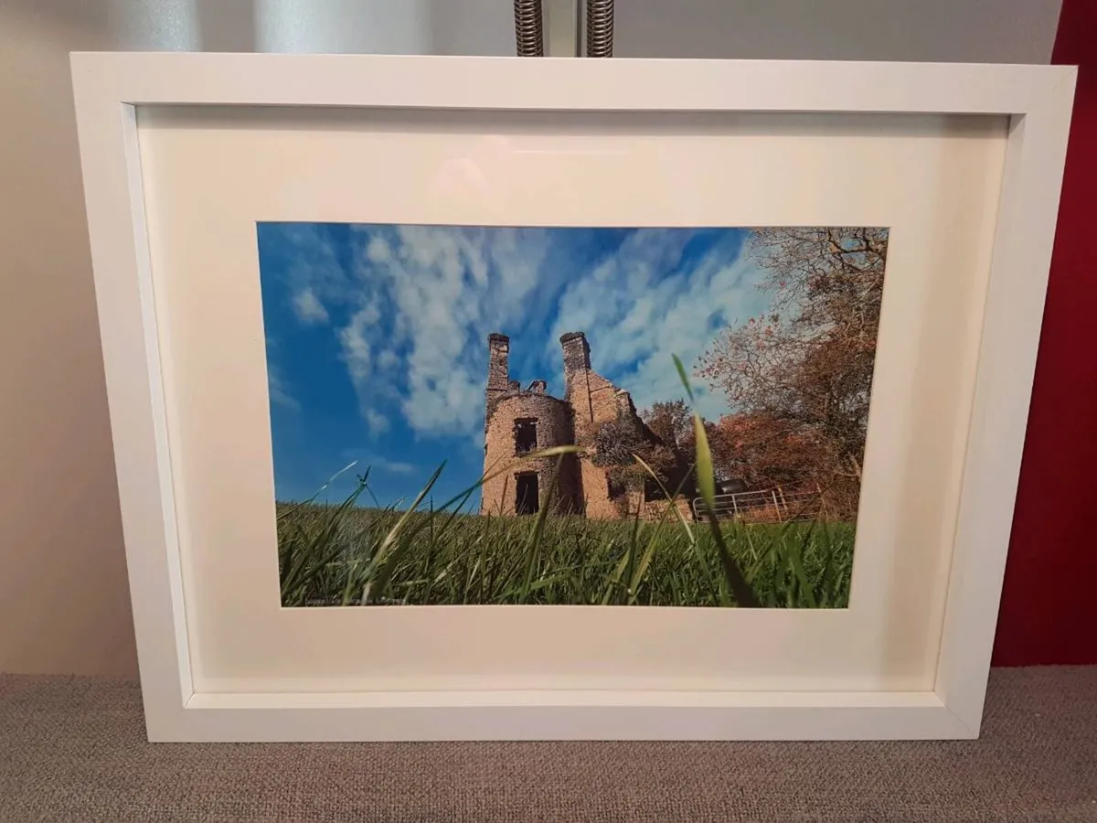 Ballyannan Castle - Image 3