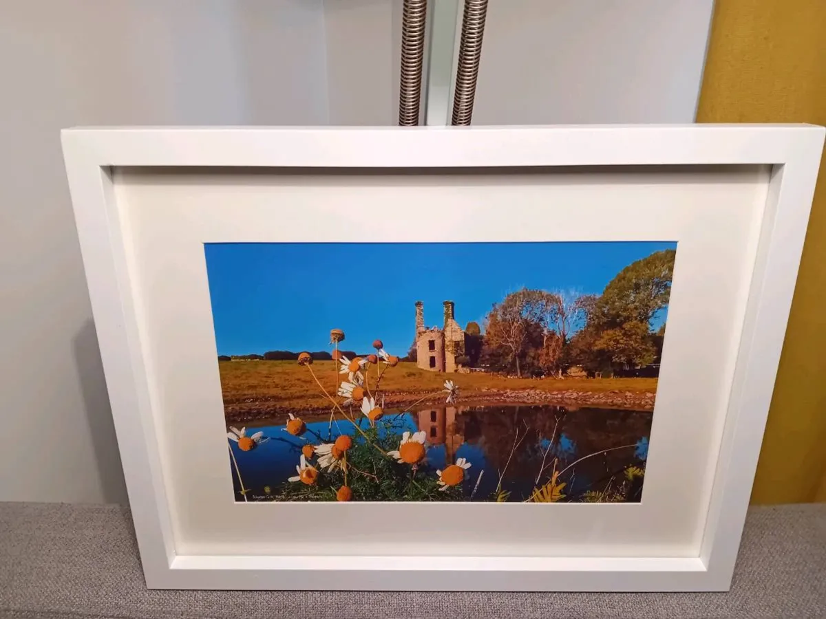 Ballyannan Castle - Image 1