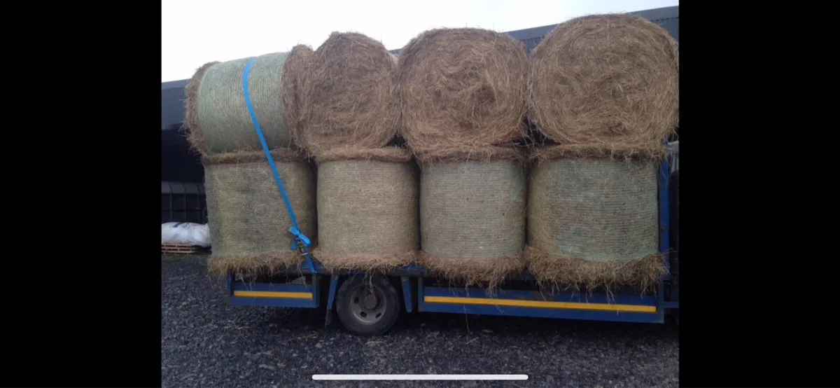 Hay and haylage delivered - Image 1