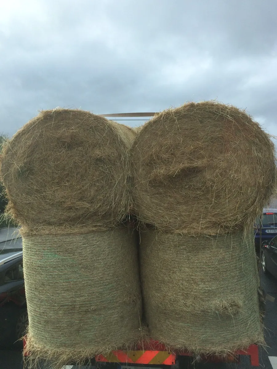 Hay and haylage delivered - Image 2