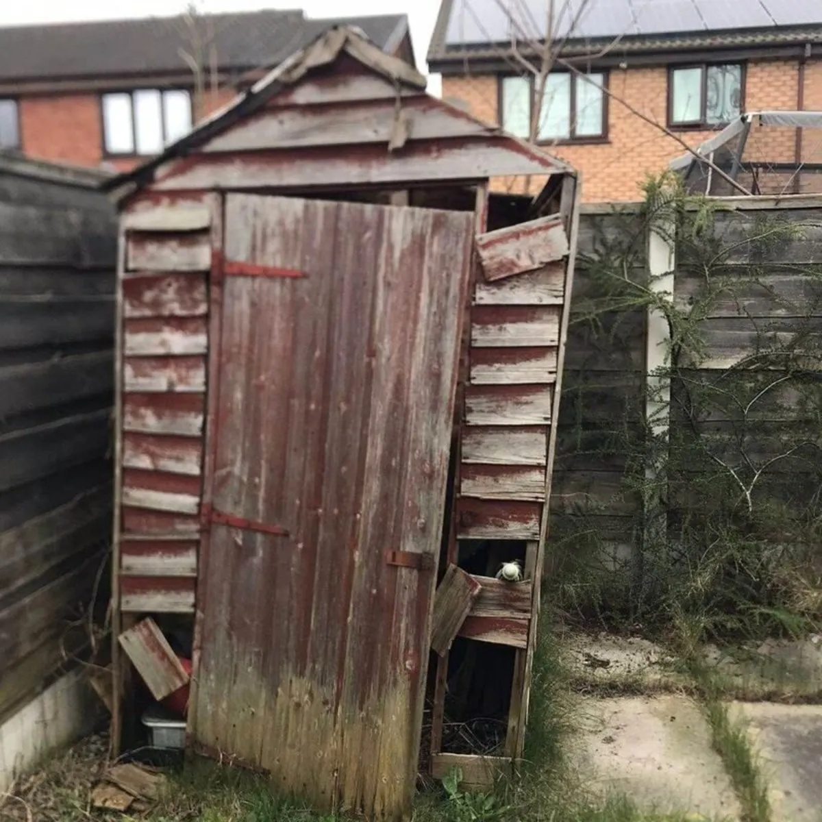 Garden clearance - Image 4