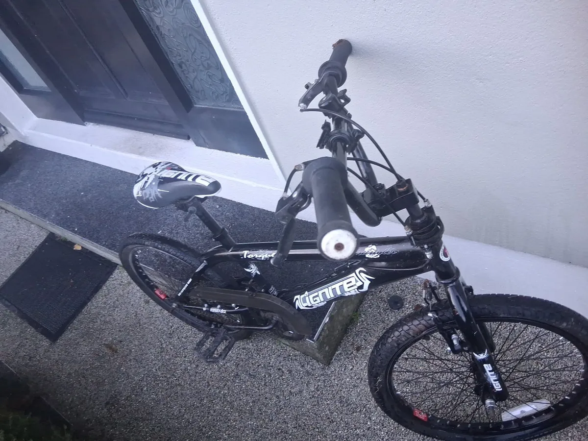 ignite childs bike - Image 1