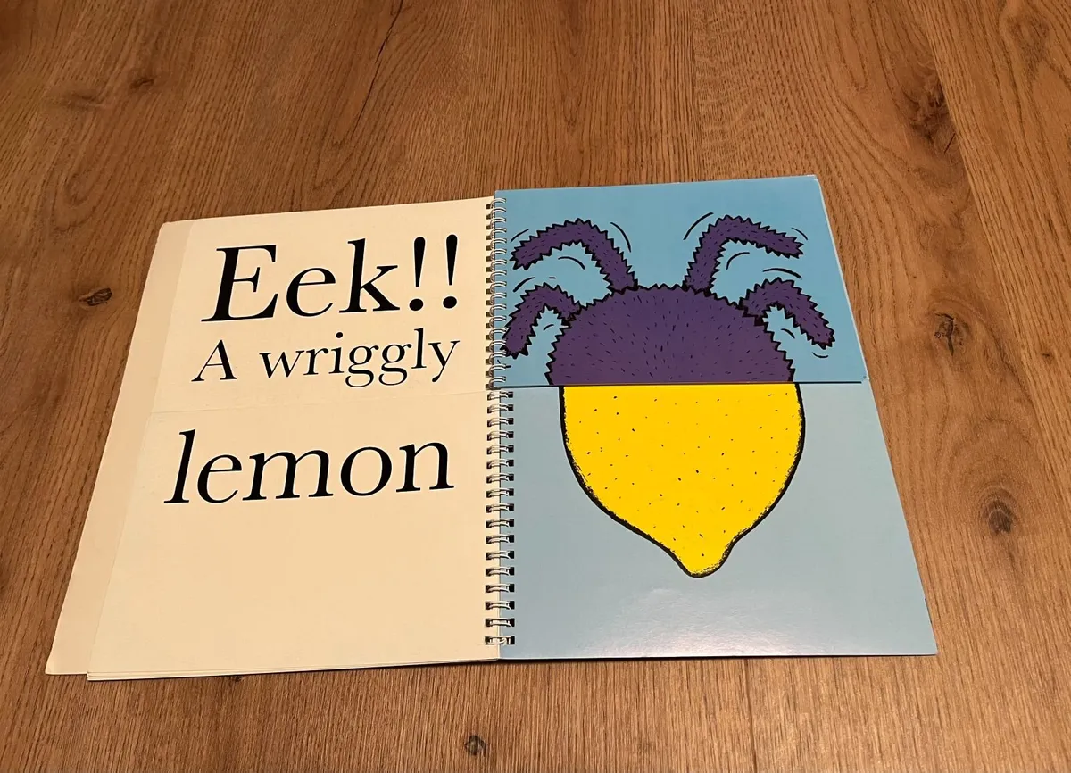 A Cheese and Tomato Spider - Flip the Flap Book - Image 4