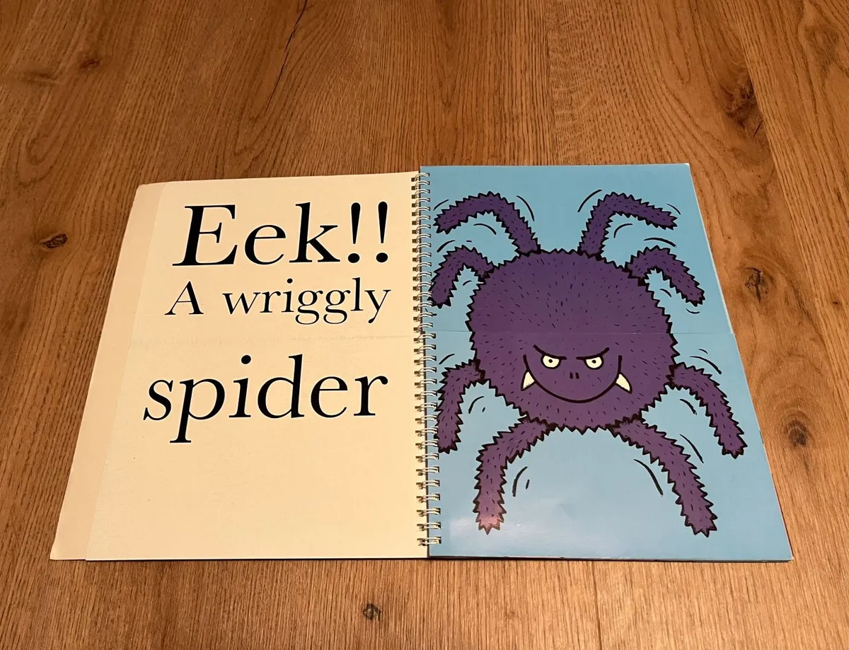A Cheese and Tomato Spider - Flip the Flap Book - Image 2