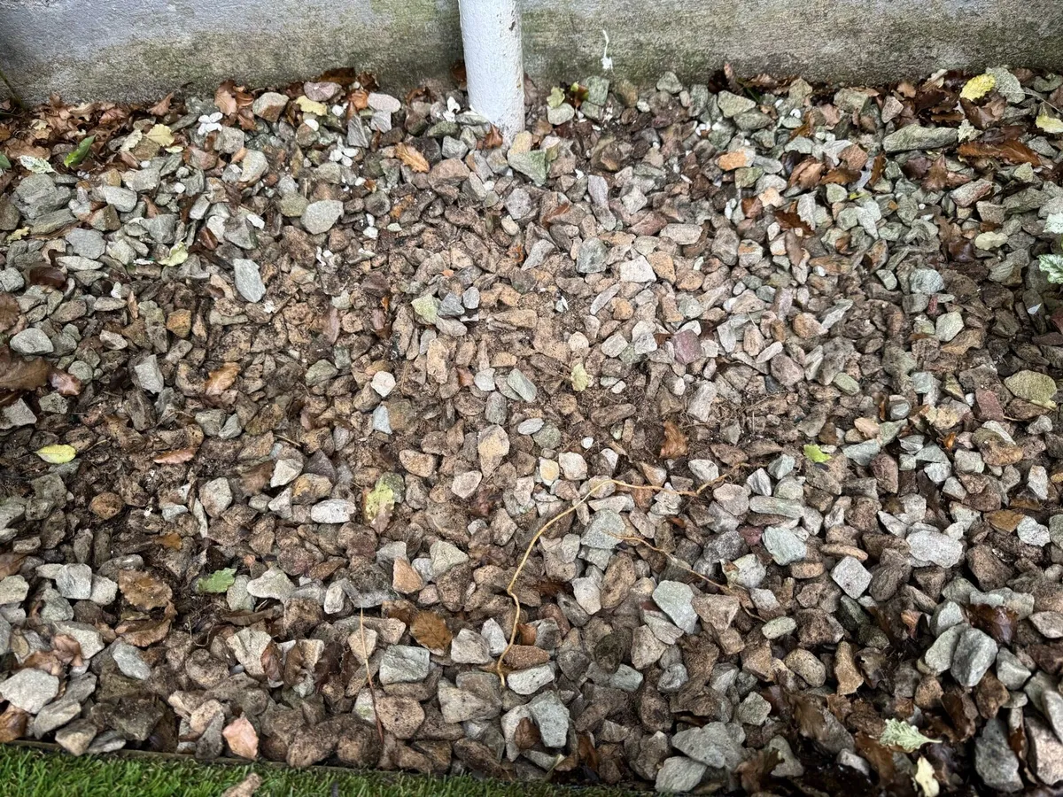Buckets of decorative peddle stones - Image 4