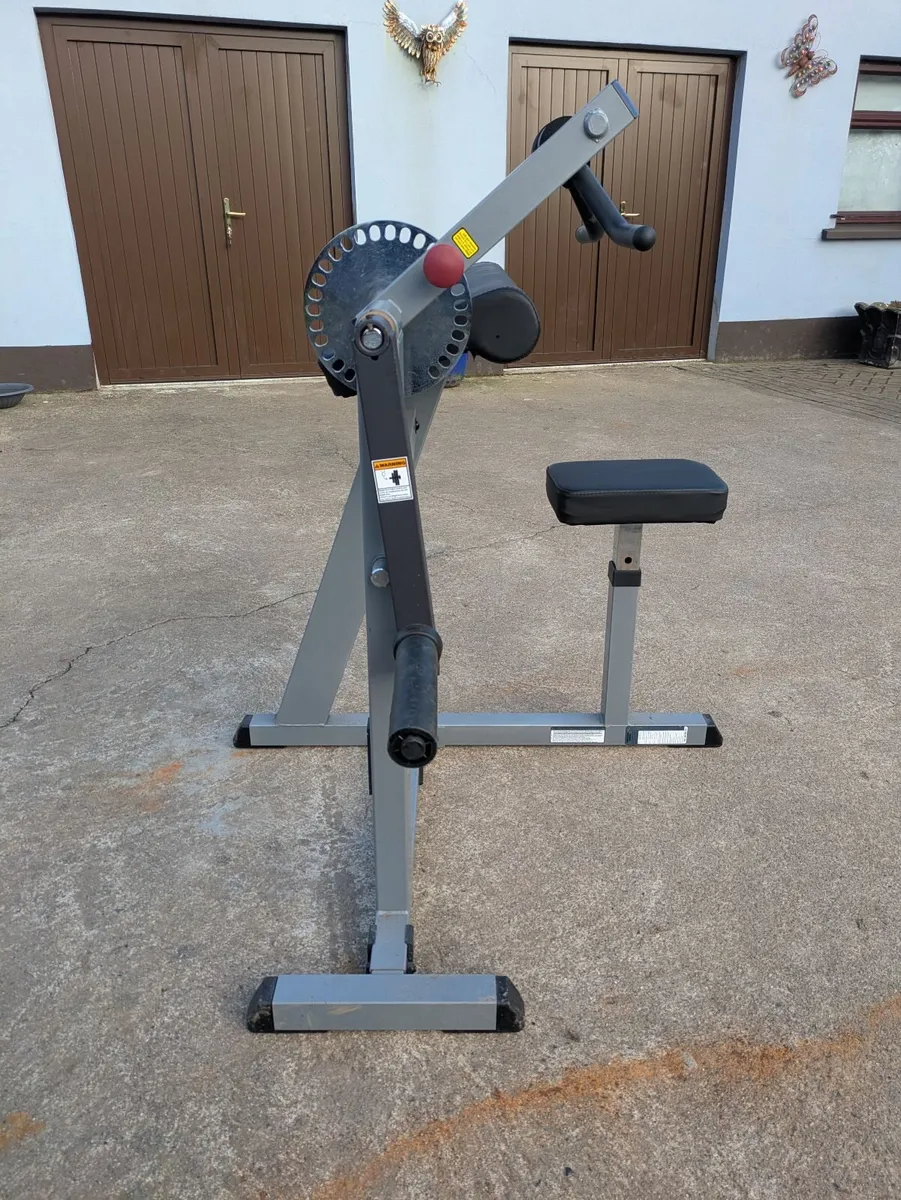 Body-solid bicep and tricep machine - Image 2