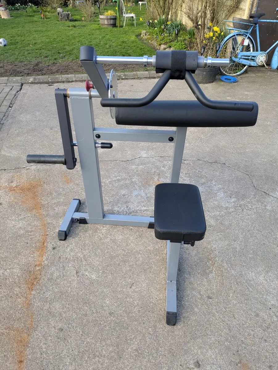 Body-solid bicep and tricep machine - Image 3