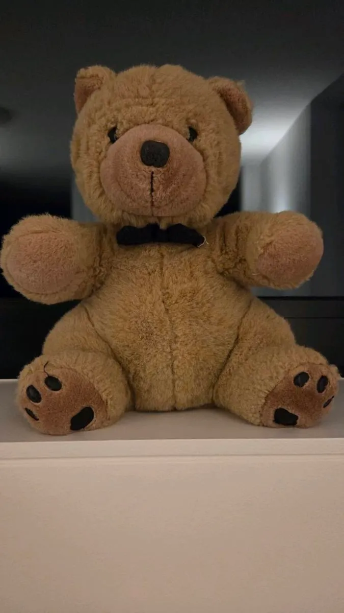 Traditional Teddy - Image 1