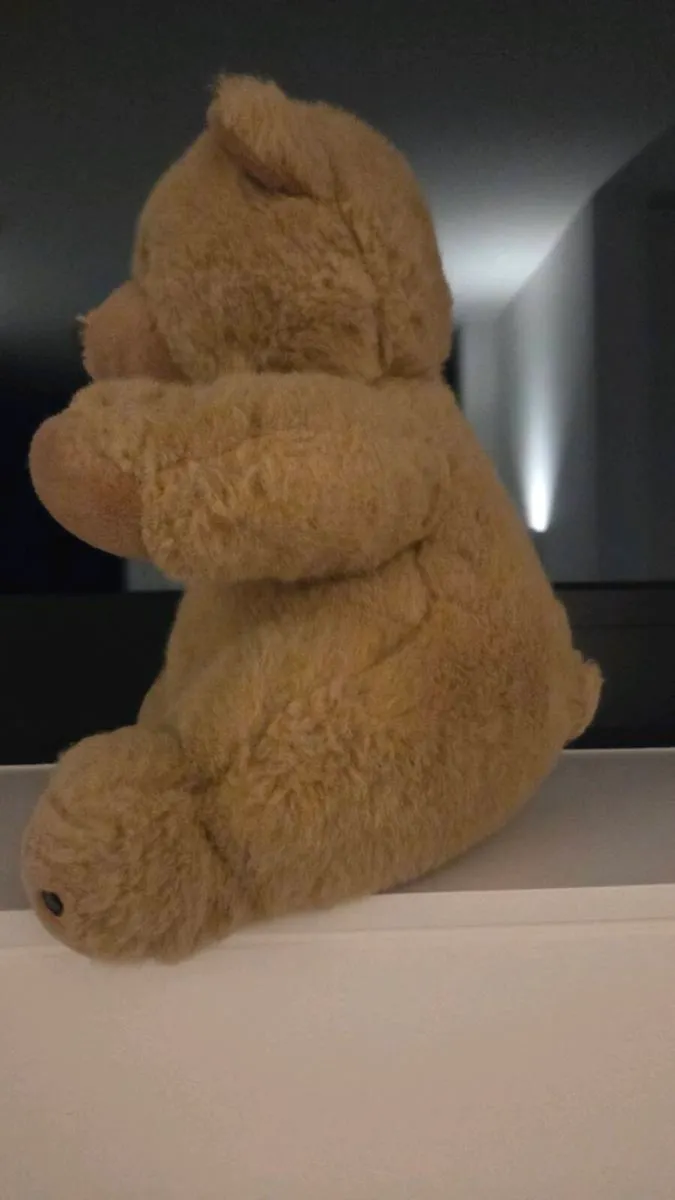 Traditional Teddy - Image 2
