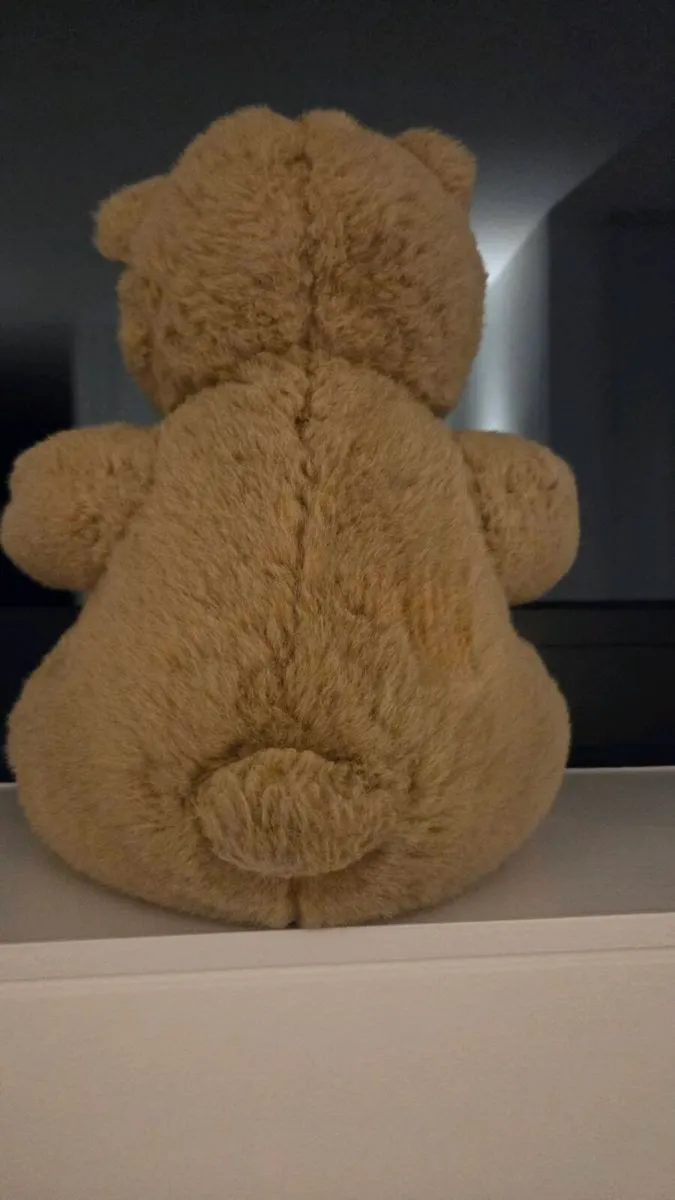 Traditional Teddy - Image 3