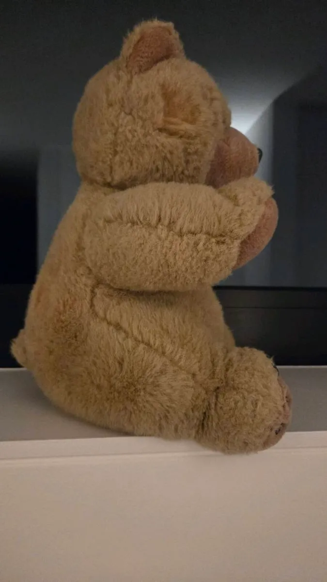 Traditional Teddy - Image 4