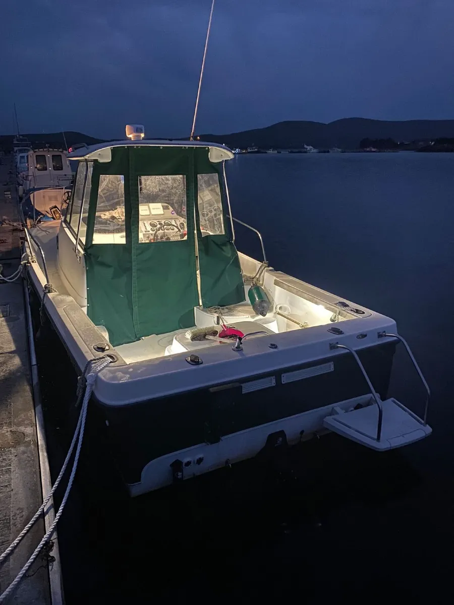 Bayliner Trophy 2052 & Trailer - Image 3