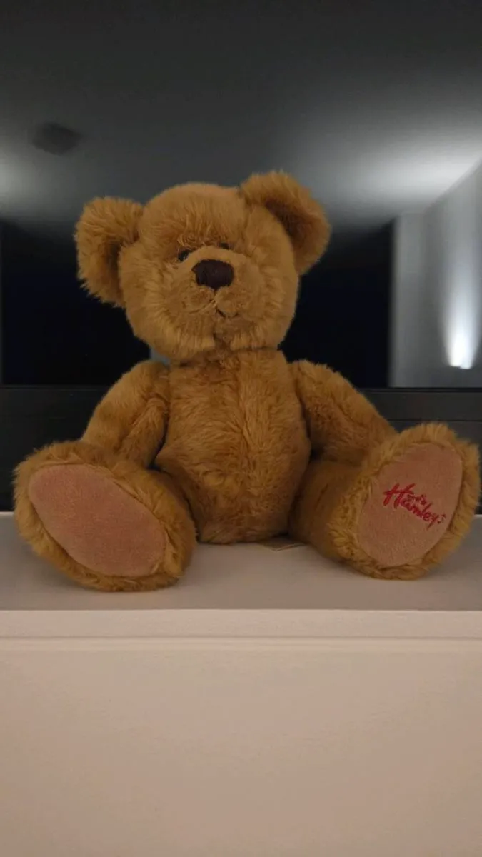Hamley's Teddy Bear - Image 1