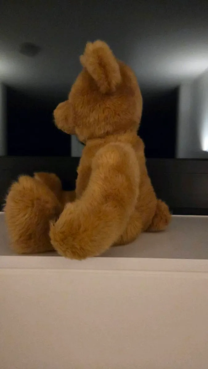 Hamley's Teddy Bear - Image 2