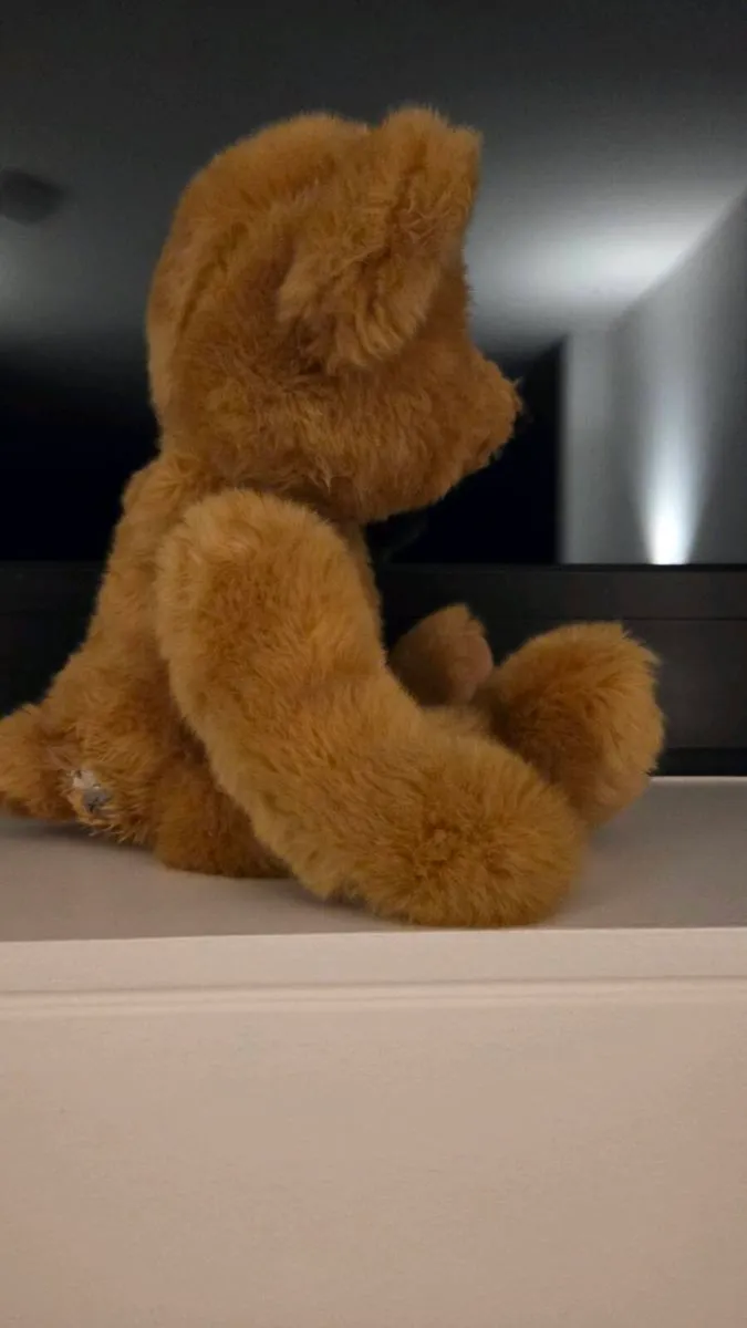 Hamley's Teddy Bear - Image 4