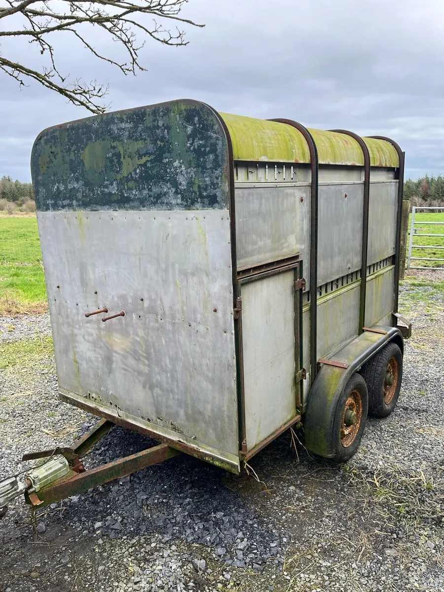 Ifor Williams 8x5 trailer. - Image 1