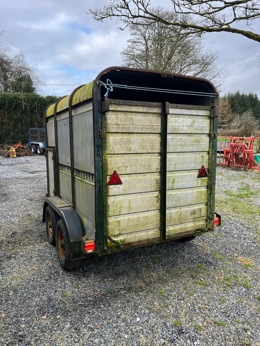 Ifor Williams 8x5 trailer. - Image 4