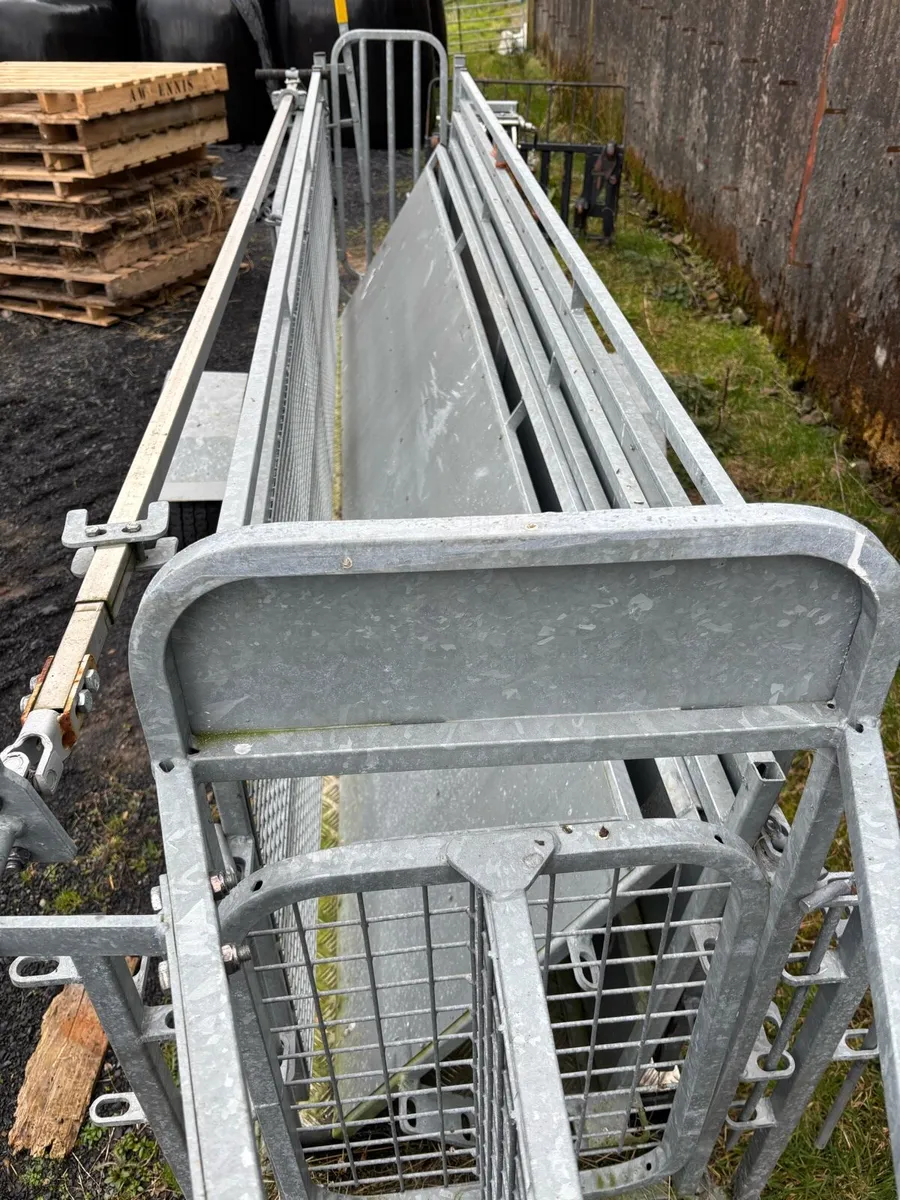 Mobile sheep handling ( sheepeze) - Image 2