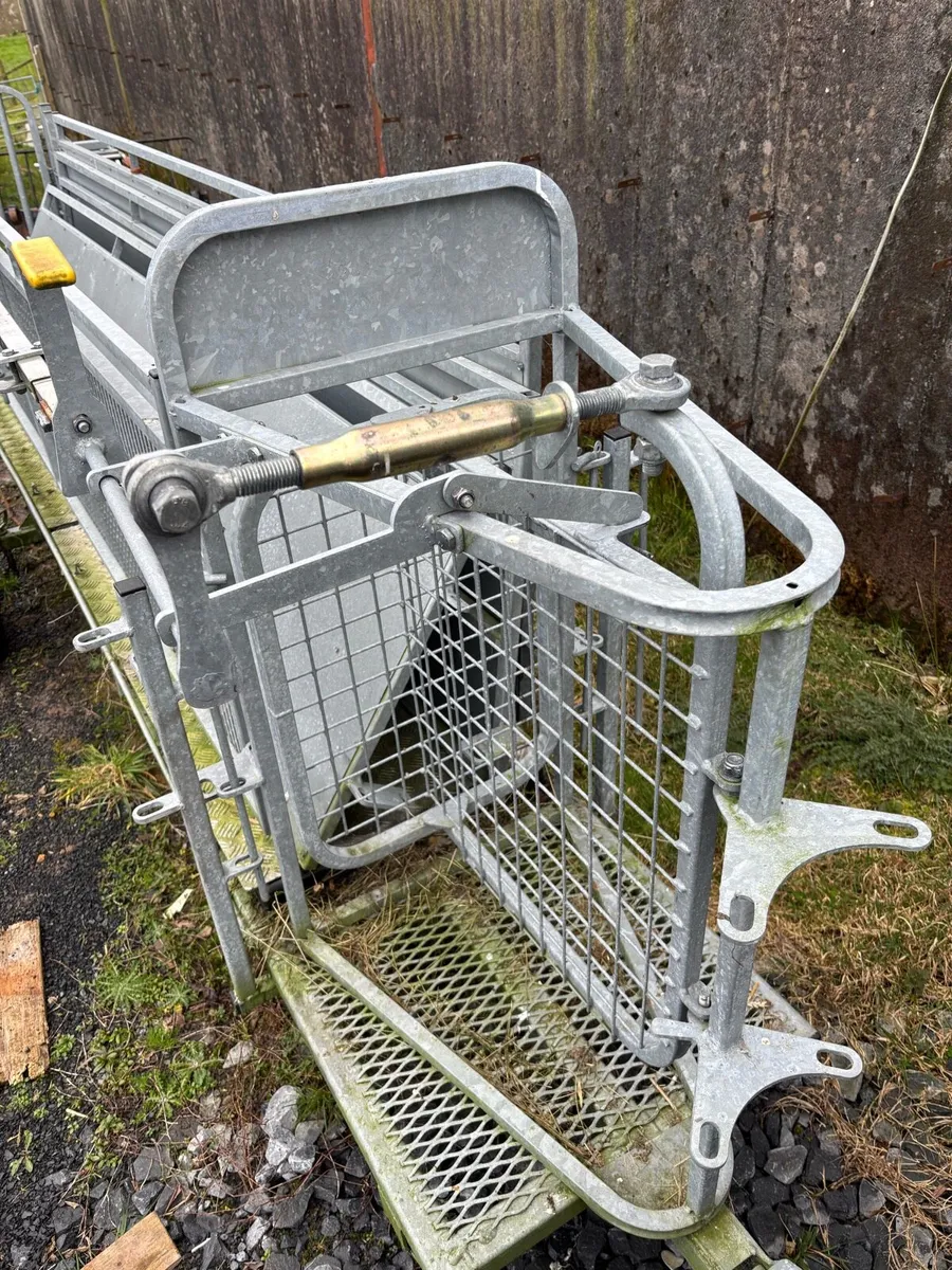 Mobile sheep handling ( sheepeze) - Image 3
