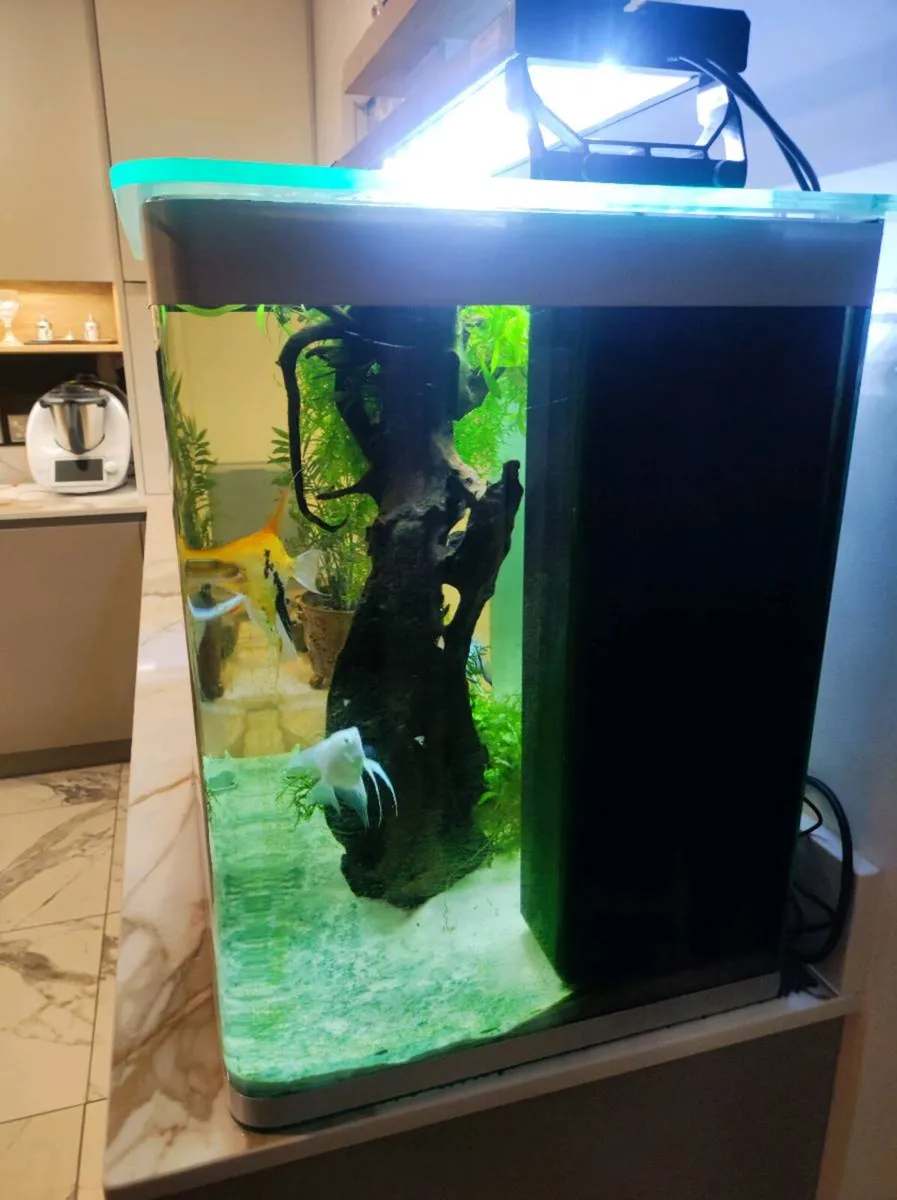 Fluval fishtank - Image 3