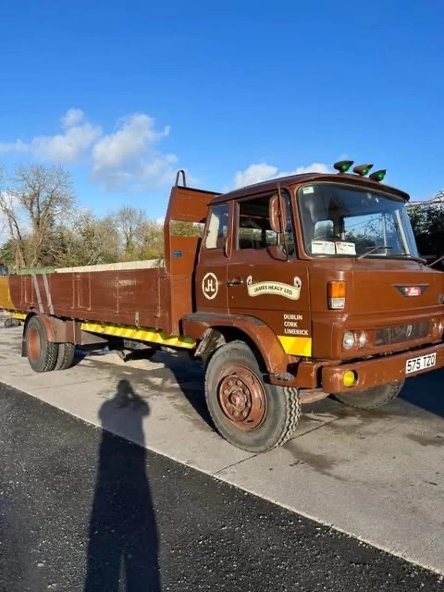 KR HINO FLAT BED 1981 LOW KLMS - Image 3