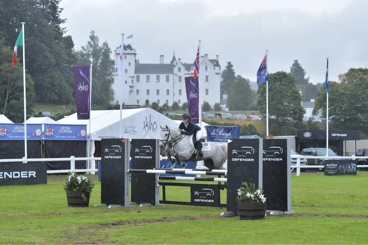 9yo 2* FEI Event Pony - Image 4