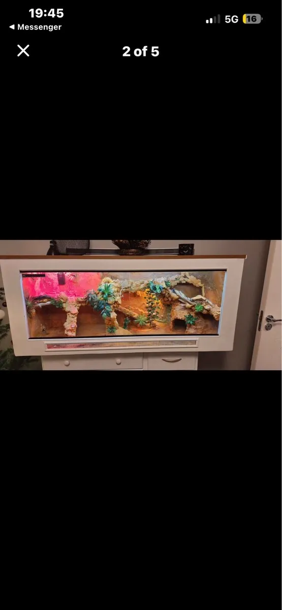 Terrarium for Lizard - Image 1