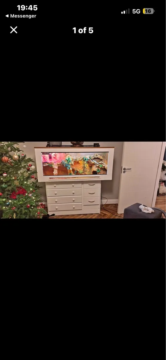 Terrarium for Lizard - Image 2