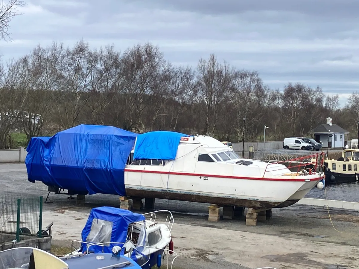 Shannon Cruiser - Image 2