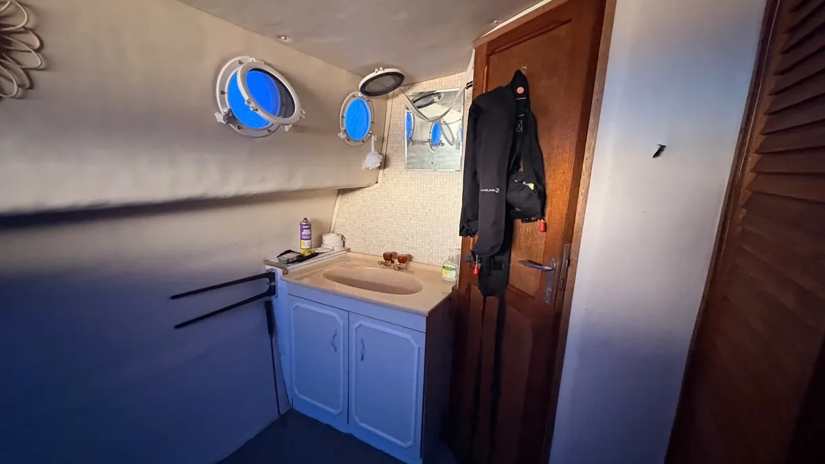 Shannon Cruiser - Image 3