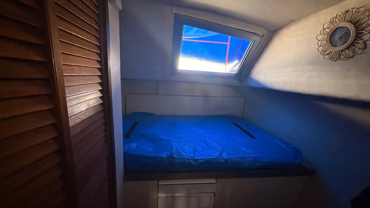 Shannon Cruiser - Image 4