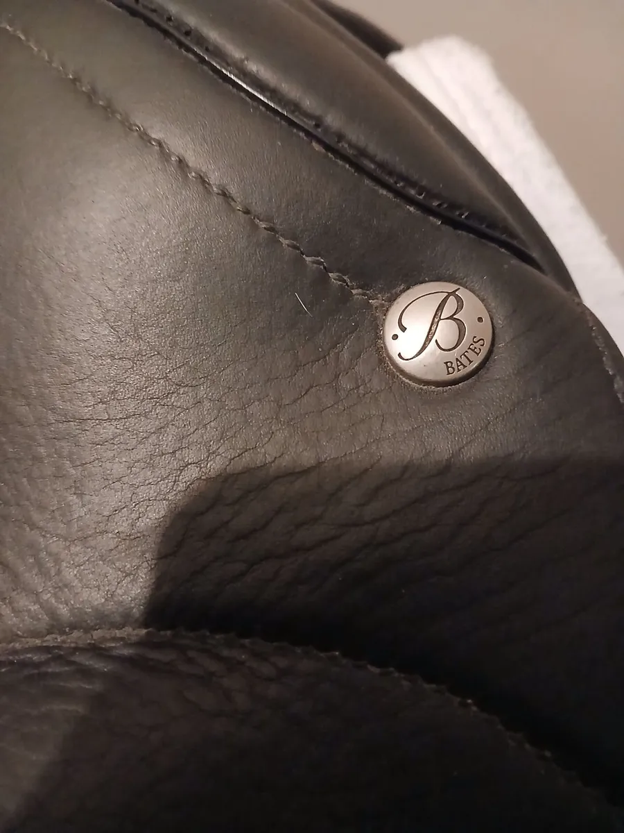 Dressage Saddle - Image 2