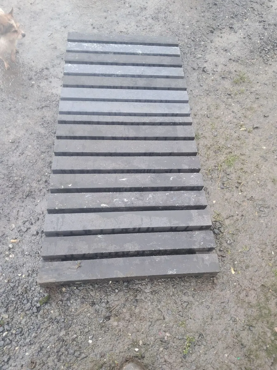 Calf slats - Image 3