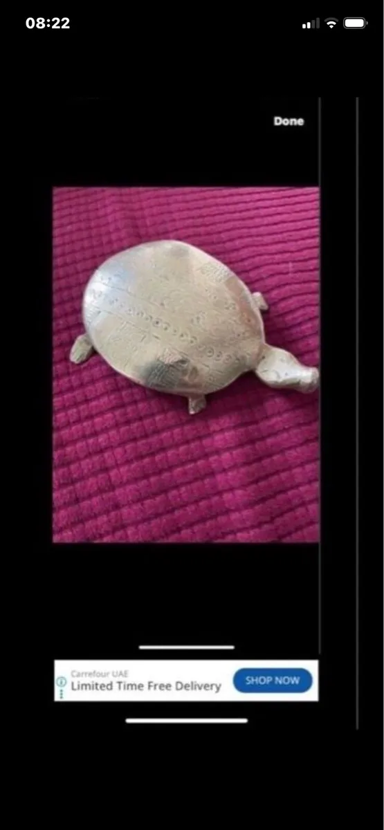 Brass Turtle Paperweight - Image 2