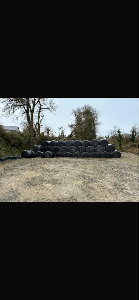 Silage bales