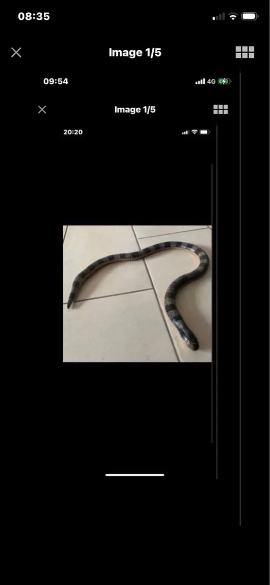 Hand Carved  Snake Movement Sculpture - Image 1