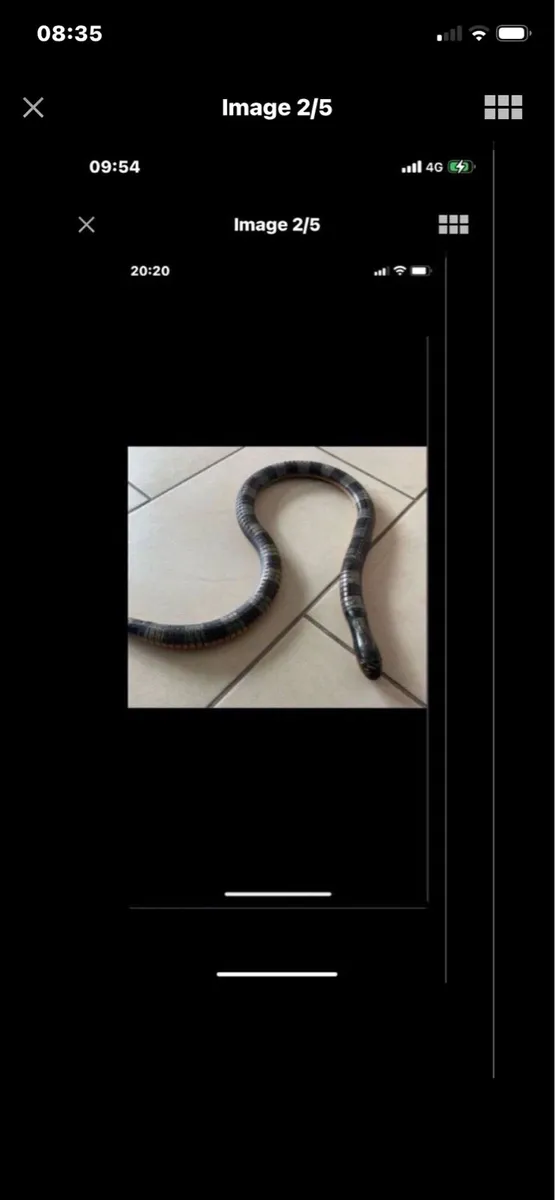 Hand Carved  Snake Movement Sculpture - Image 2