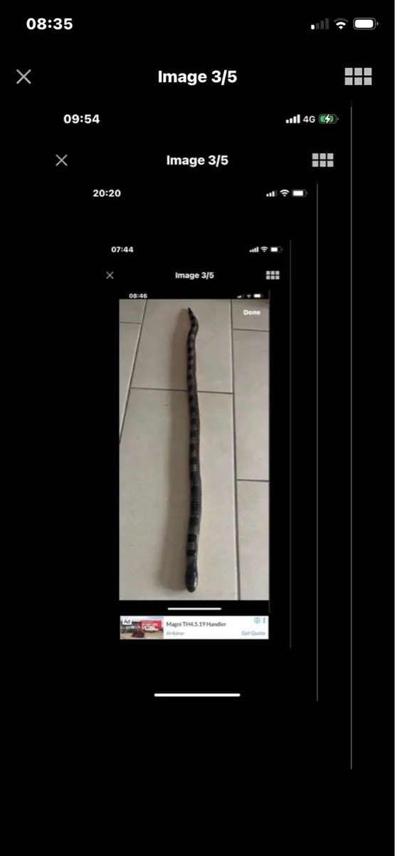 Hand Carved  Snake Movement Sculpture - Image 3