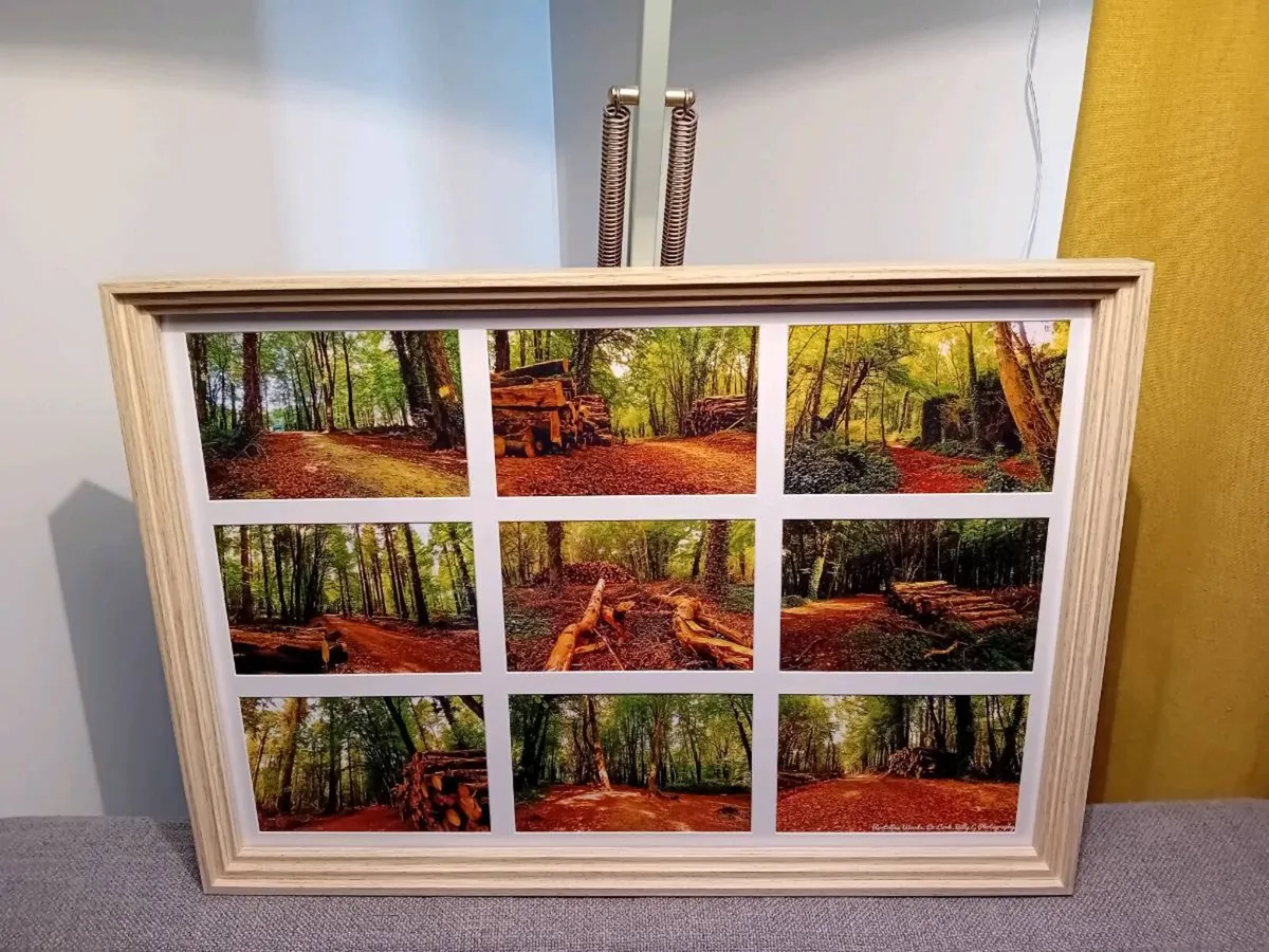 Rostellan Woods - Image 1