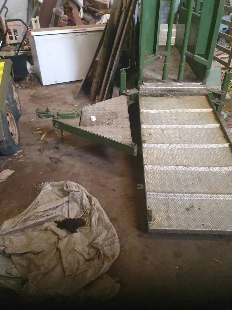 Mobile cattle crush - Image 4